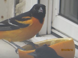 Hey, I was here first!